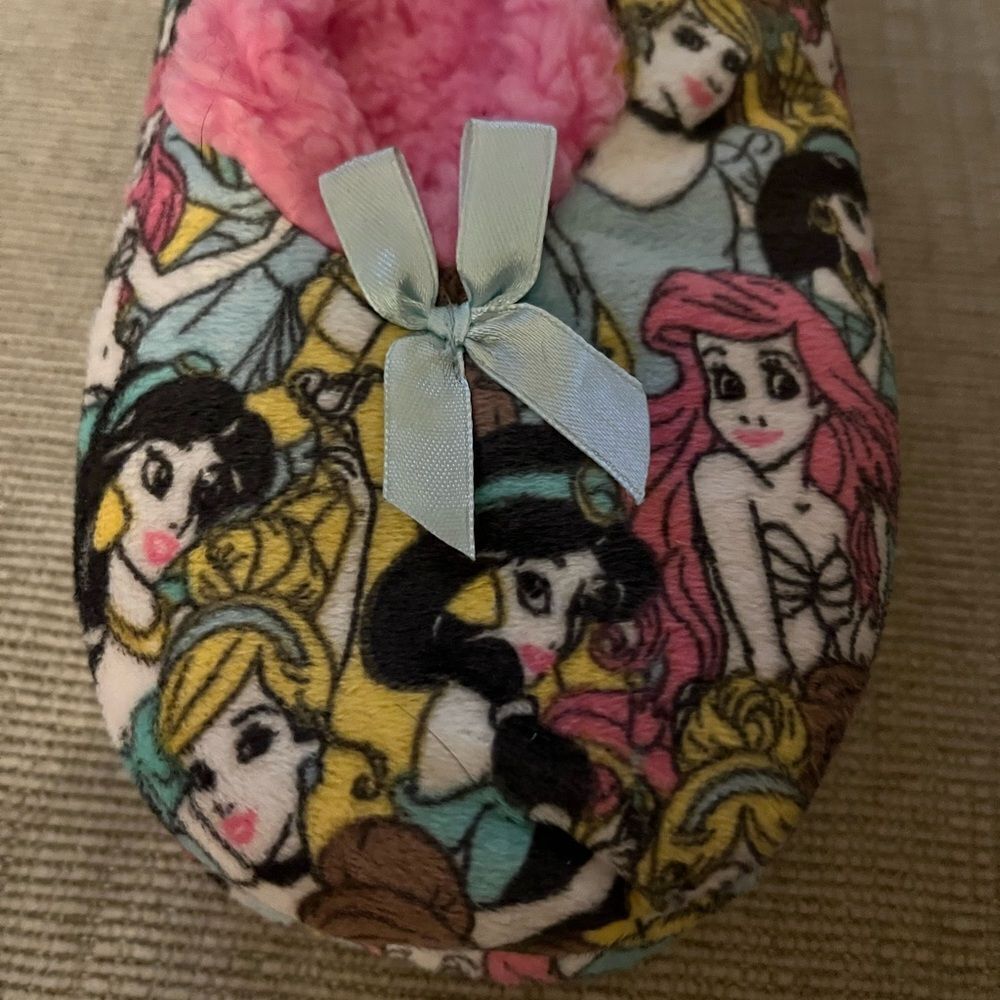 Disney Princess Pink and Blue Slippers